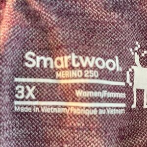 Smartwool Merino 250 Women's Top in Purple